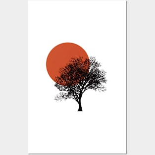 Sunset tree Posters and Art